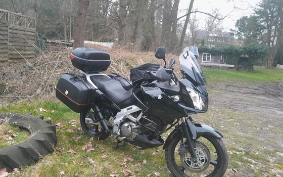 Gebrauchtmotorrad Suzuki V-Strom 650 - Bild 1