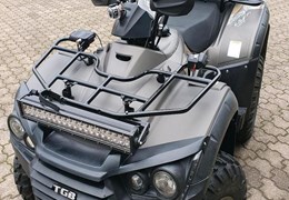 Gebrauchte TGB Blade 550 4x4 IRS