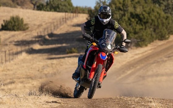 Gebrauchtmotorrad Honda CRF300 Rally - Bild 10