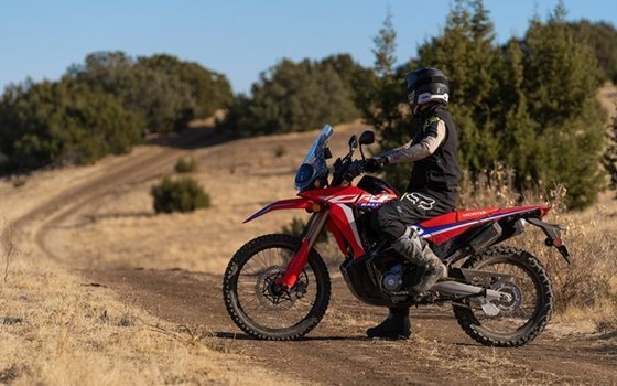 Gebrauchtmotorrad Honda CRF300 Rally - Bild 9