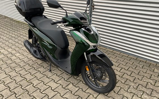 Neufahrzeug Honda SH150i - Bild 1