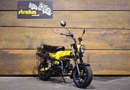 Neumotorrad Skyteam Skymax 125