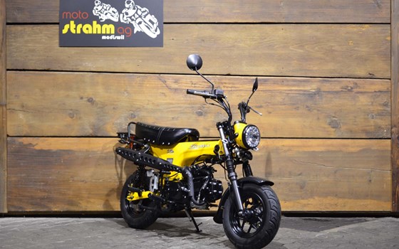 Neufahrzeug Skyteam Skymax 125 - Bild 1