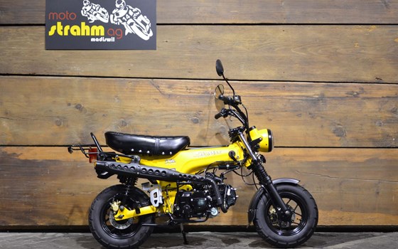 Neufahrzeug Skyteam Skymax 125 - Bild 2