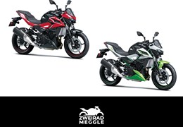 Neumotorrad Kawasaki Z 500 SE