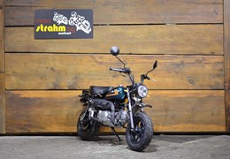 Neumotorrad Skyteam SkyMini 125