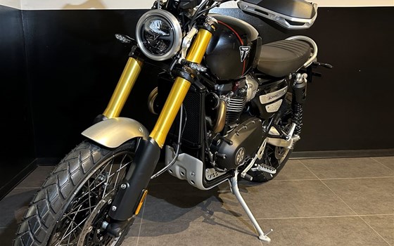 Neufahrzeug Triumph Scrambler 1200 XE - Bild 4