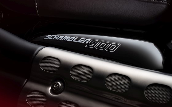 Neufahrzeug Triumph Scrambler 900 - Bild 6