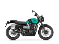 Neumotorrad Triumph Scrambler 900 