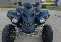 Gebrauchte Adly ATV 300