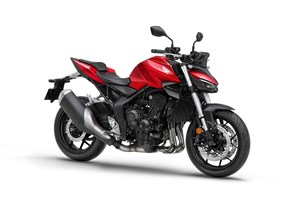 Angebot Honda CB1000 Hornet