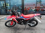 Angebot Honda CRF300 Rally