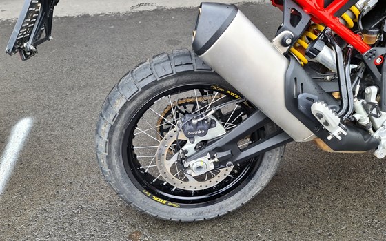 Neufahrzeug Ducati DesertX Rally - Bild 5 Neufahrzeug Ducati DesertX Rally - Bild 5