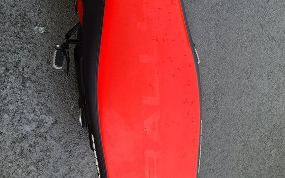 Neufahrzeug Ducati DesertX Rally - Bild 8 Neufahrzeug Ducati DesertX Rally - Bild 8