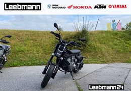 Neumotorrad BMW CE 02 11kW