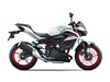 Kawasaki Z 500 SE