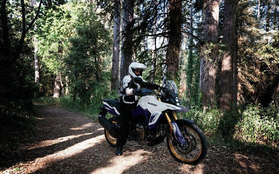 Neufahrzeug Suzuki V-Strom 800DE - Bild 2