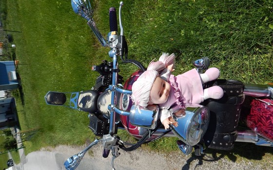 Gebrauchtmotorrad Suzuki VZ 800 Marauder - Bild 11