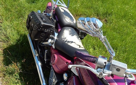 Gebrauchtmotorrad Suzuki VZ 800 Marauder - Bild 6