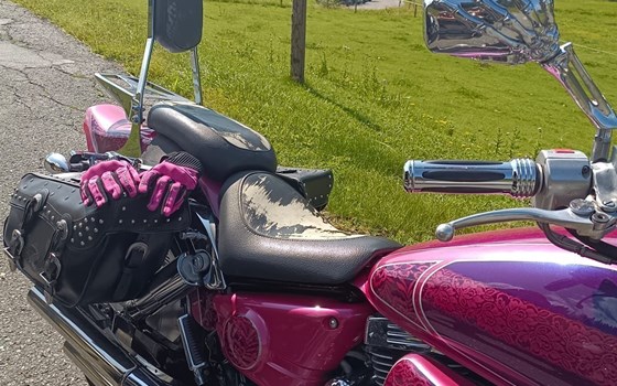 Gebrauchtmotorrad Suzuki VZ 800 Marauder - Bild 7