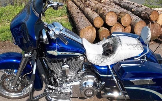 Gebrauchtmotorrad Harley-Davidson CVO Street Glide FLHXSE - Bild 1