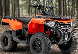 Neumotorrad Loncin XWOLF 300