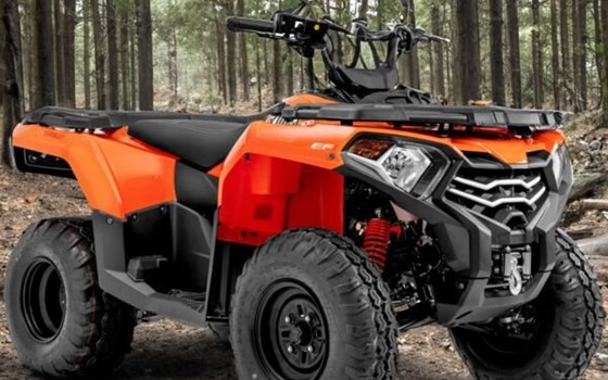 Neufahrzeug Loncin XWOLF 300 - Bild 1