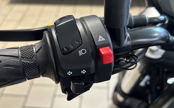 Neufahrzeug Suzuki SV650 - Bild 4