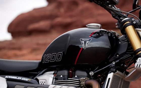 Neufahrzeug Triumph Scrambler 1200 XE - Bild 4