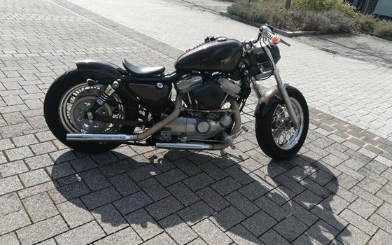Gebrauchtmotorrad Harley-Davidson Sportster XL 883 - Bild 3