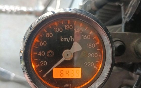 Gebrauchtmotorrad Harley-Davidson Sportster XL 883 - Bild 4