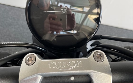 Neufahrzeug Triumph Trident 660 - Bild 10 Neufahrzeug Triumph Trident 660 - Bild 10