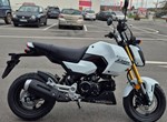 Angebot Honda MSX125 Grom