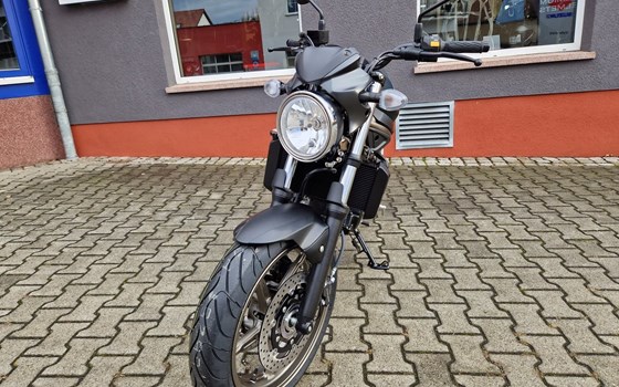 Neufahrzeug Suzuki SV650 - Bild 1