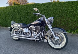 Gebrauchte Harley-Davidson Softail Custom FXSTC