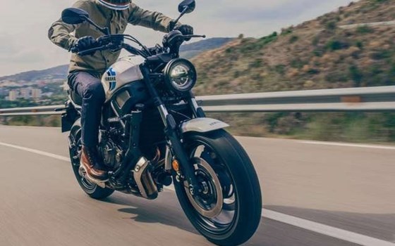 Gebrauchtmotorrad Yamaha XSR700 - Bild 2