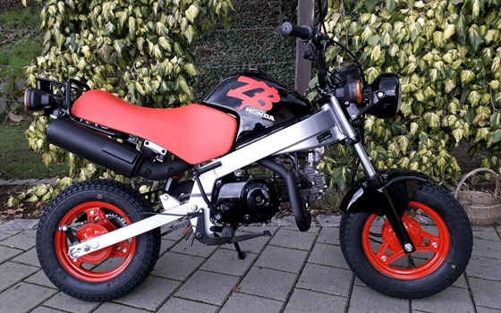Gebrauchtmotorrad Honda Monkey - Bild 1