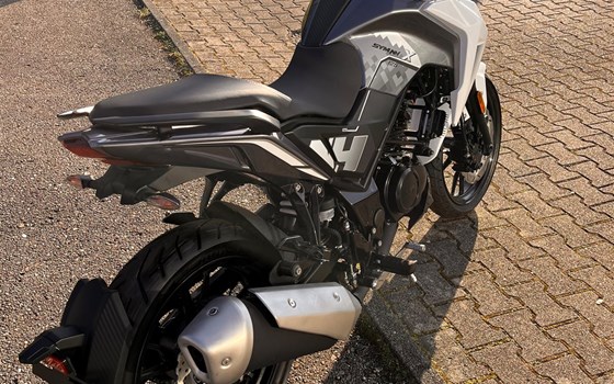 Neufahrzeug Sym NH X 125 - Bild 12