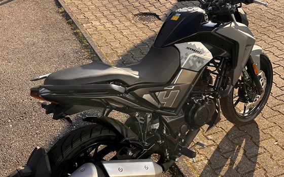 Neufahrzeug Sym NH X 125 - Bild 9
