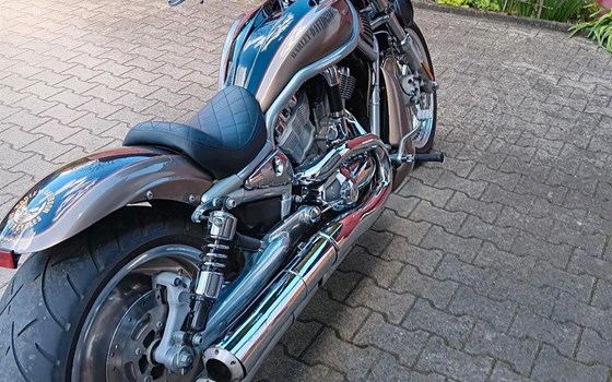 Gebrauchtmotorrad Harley-Davidson V-Rod VRSCA - Bild 3