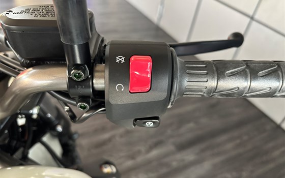 Neufahrzeug Kawasaki Eliminator 500 - Bild 9