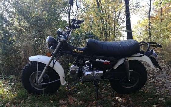 Gebrauchtmotorrad Skyteam T-Rex - Bild 1