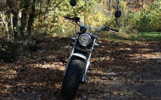 Gebrauchtmotorrad Skyteam T-Rex - Bild 3