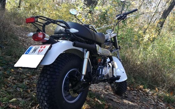 Gebrauchtmotorrad Skyteam T-Rex - Bild 4