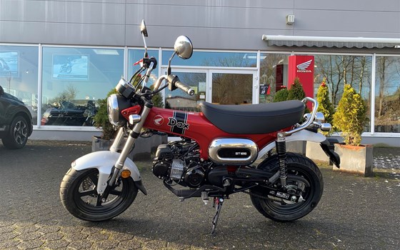 Neufahrzeug Honda Dax 125 - Bild 2