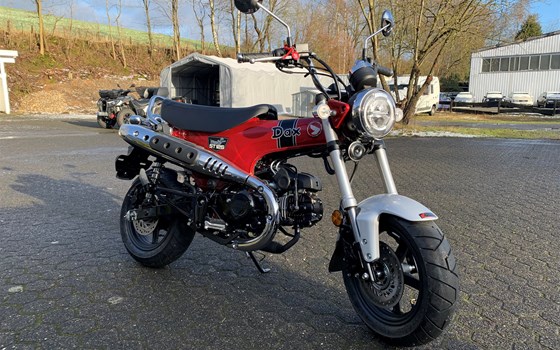 Neufahrzeug Honda Dax 125 - Bild 3