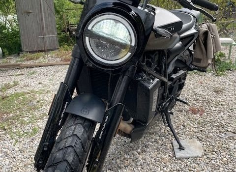 Motorrad Occasion Husqvarna Svartpilen 701 - Bild 1