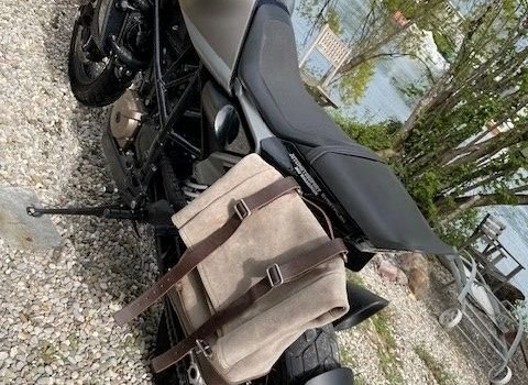 Motorrad Occasion Husqvarna Svartpilen 701 - Bild 2