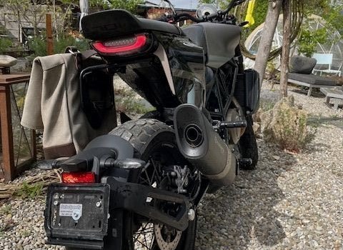 Motorrad Occasion Husqvarna Svartpilen 701 - Bild 3