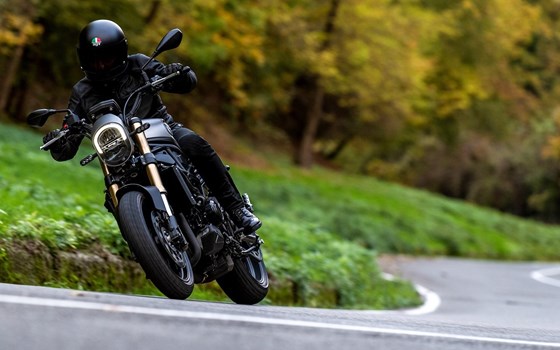 Neufahrzeug Benelli Leoncino 800 - Bild 2